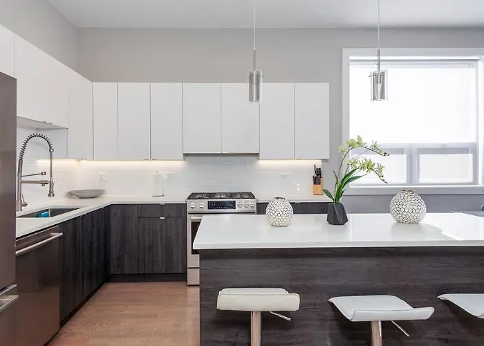 2 Newly Built Luxury With Private Roofdeck Chicago